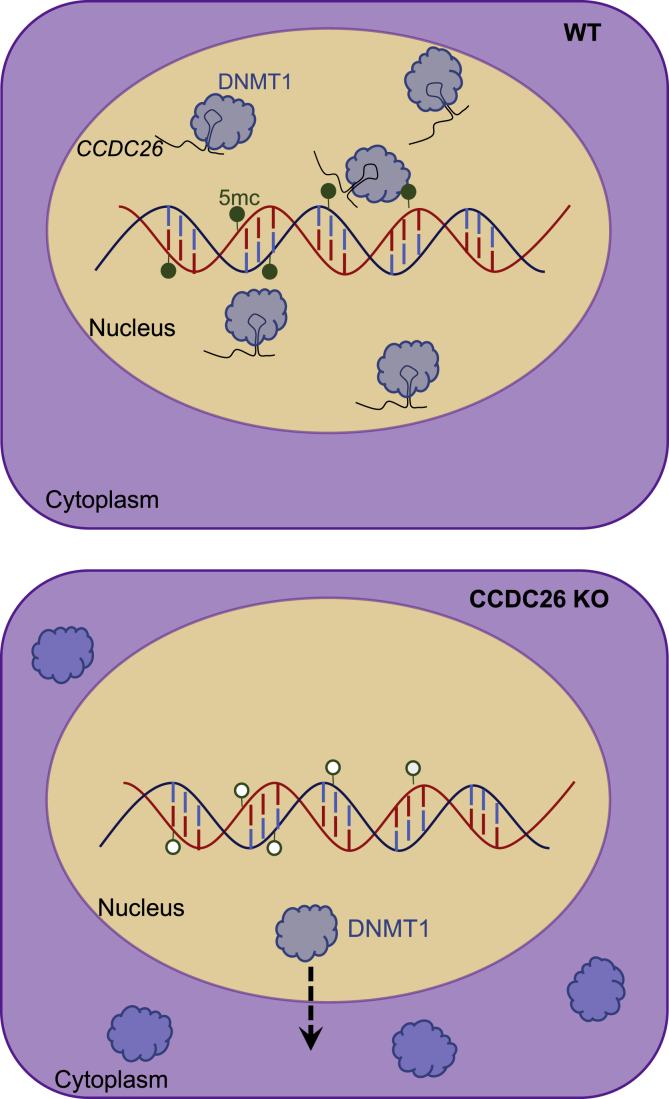 Figure 6