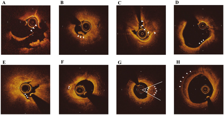 Figure 1.