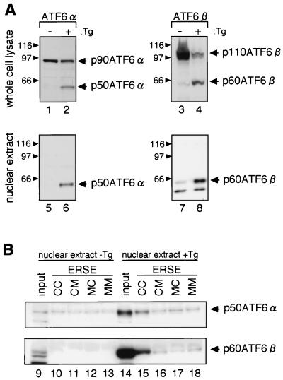 FIG. 9