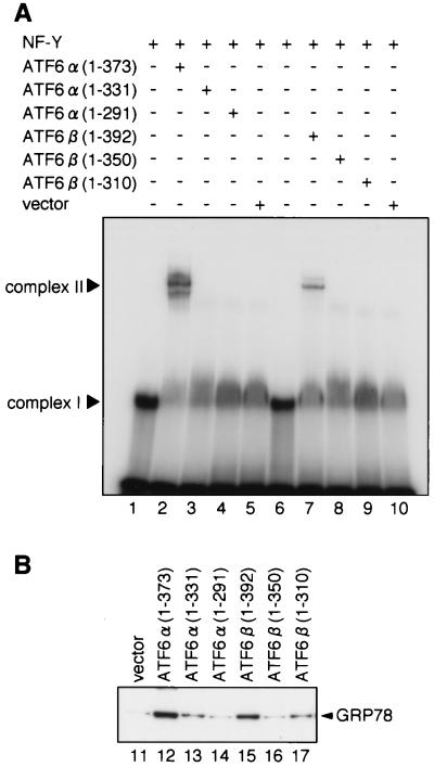 FIG. 7