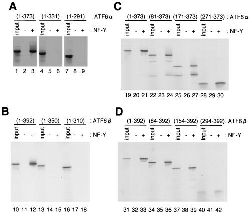 FIG. 6