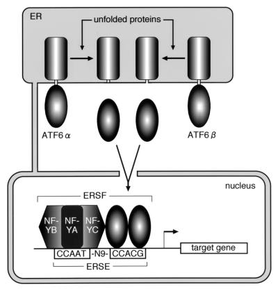 FIG. 10