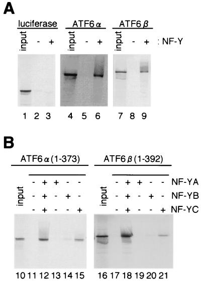 FIG. 5