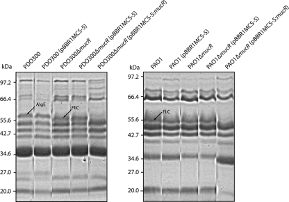 FIG. 5.