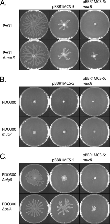 FIG. 4.