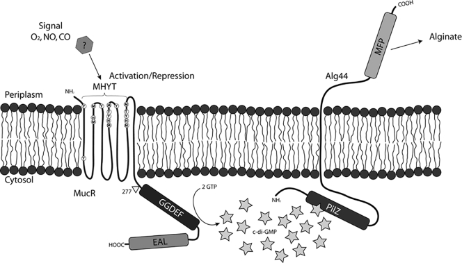 FIG. 8.