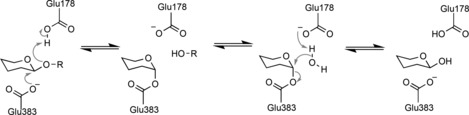 Scheme 2