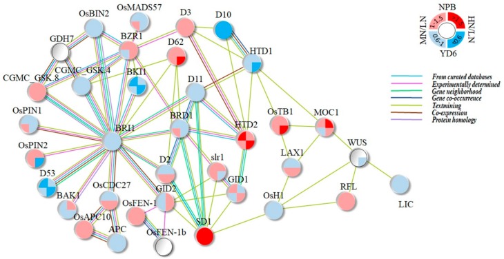 Figure 10