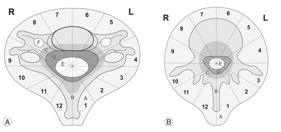 Fig. 10