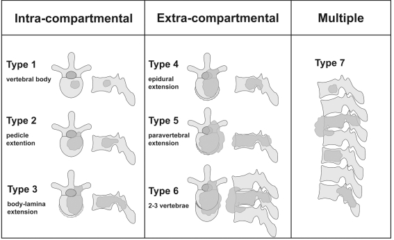 Fig. 11