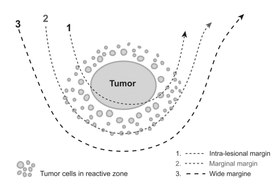 Fig. 15