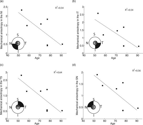 Fig. 13