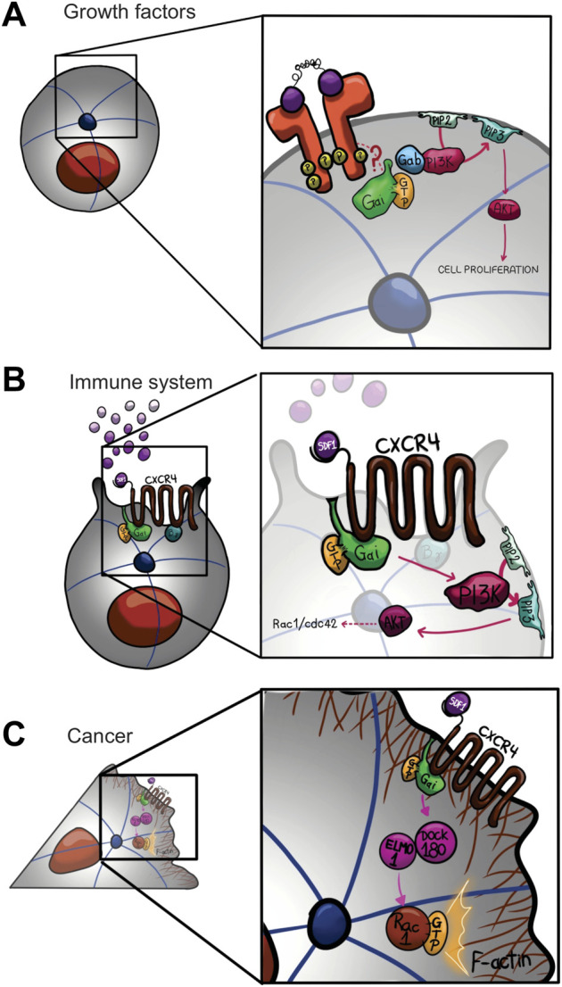 FIGURE 3