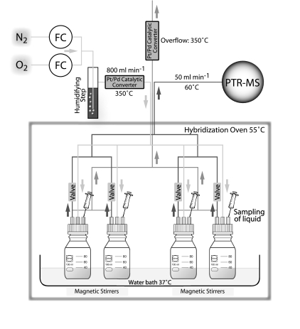 FIG. 1.