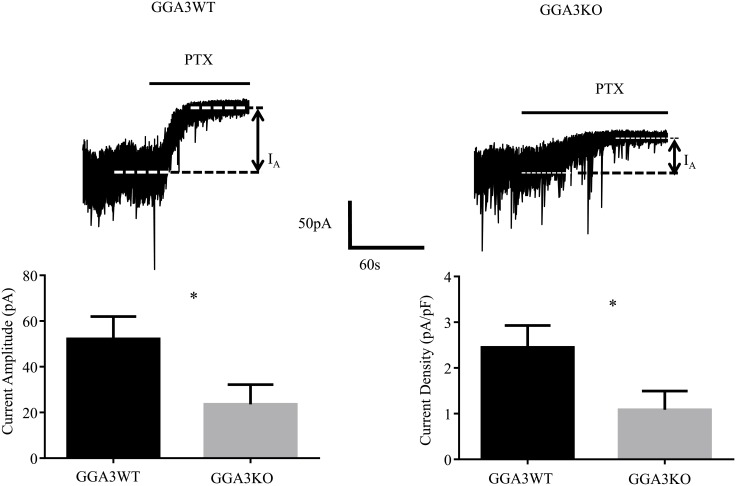 Fig 5