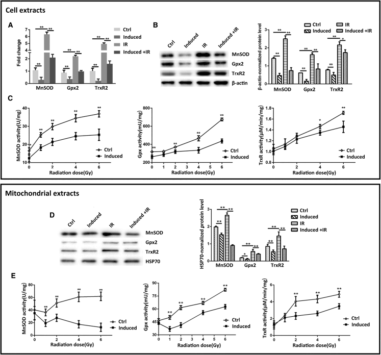 Figure 4