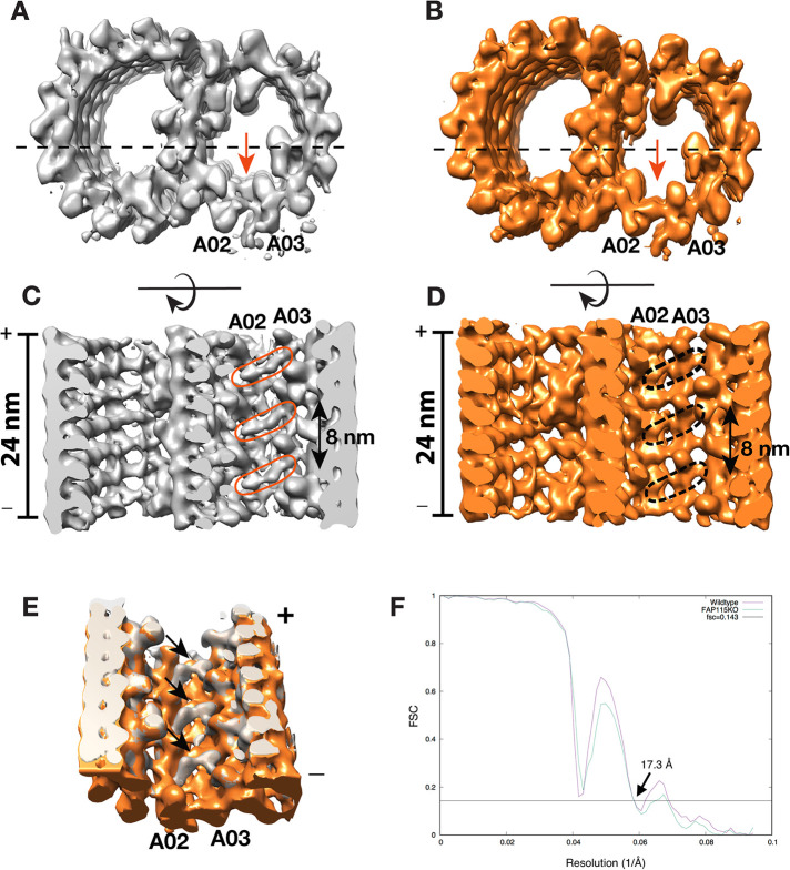 FIGURE 4: