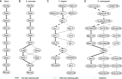 FIG. 2.