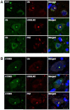 Fig.4