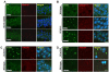 Fig.3