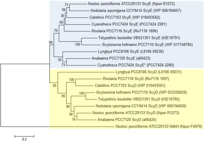 FIGURE 3