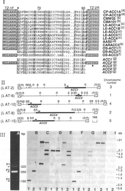 graphic file with name pnas01096-0495-a.jpg