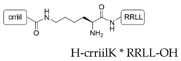 graphic file with name pharmaceutics-15-00121-i003.jpg