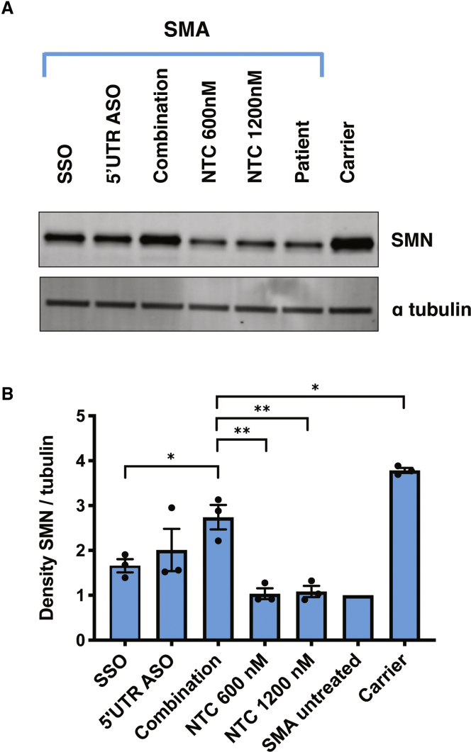 Figure 6