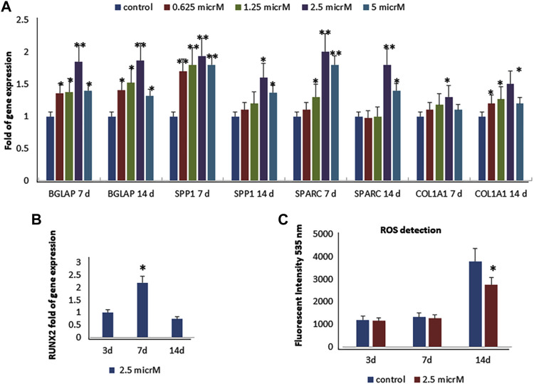 FIGURE 2