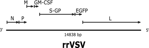 FIG. 1.