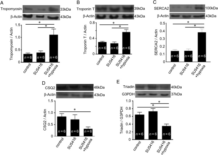 Figure 6