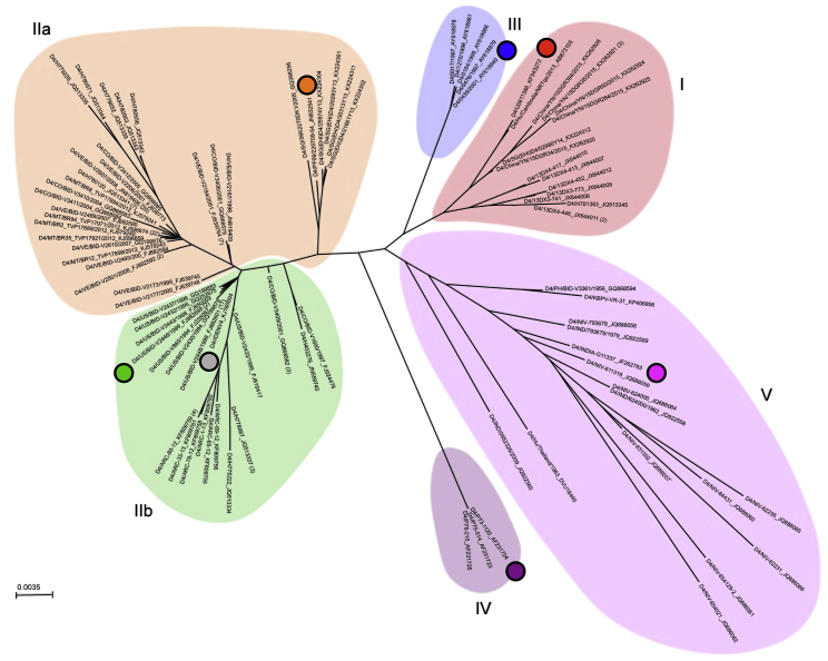 Figure 1