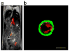 Fig. 2