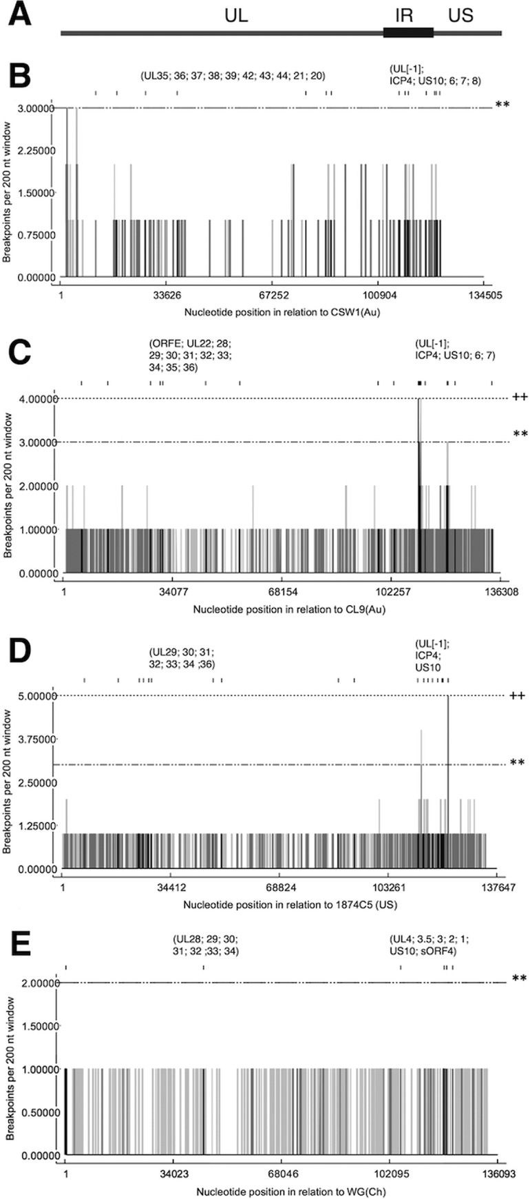 FIG 6