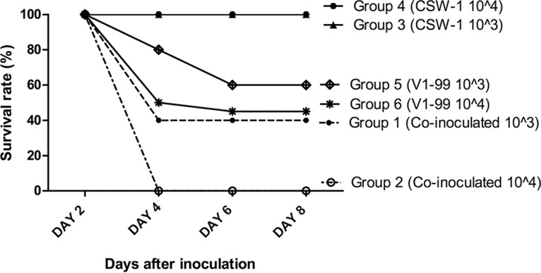 FIG 1