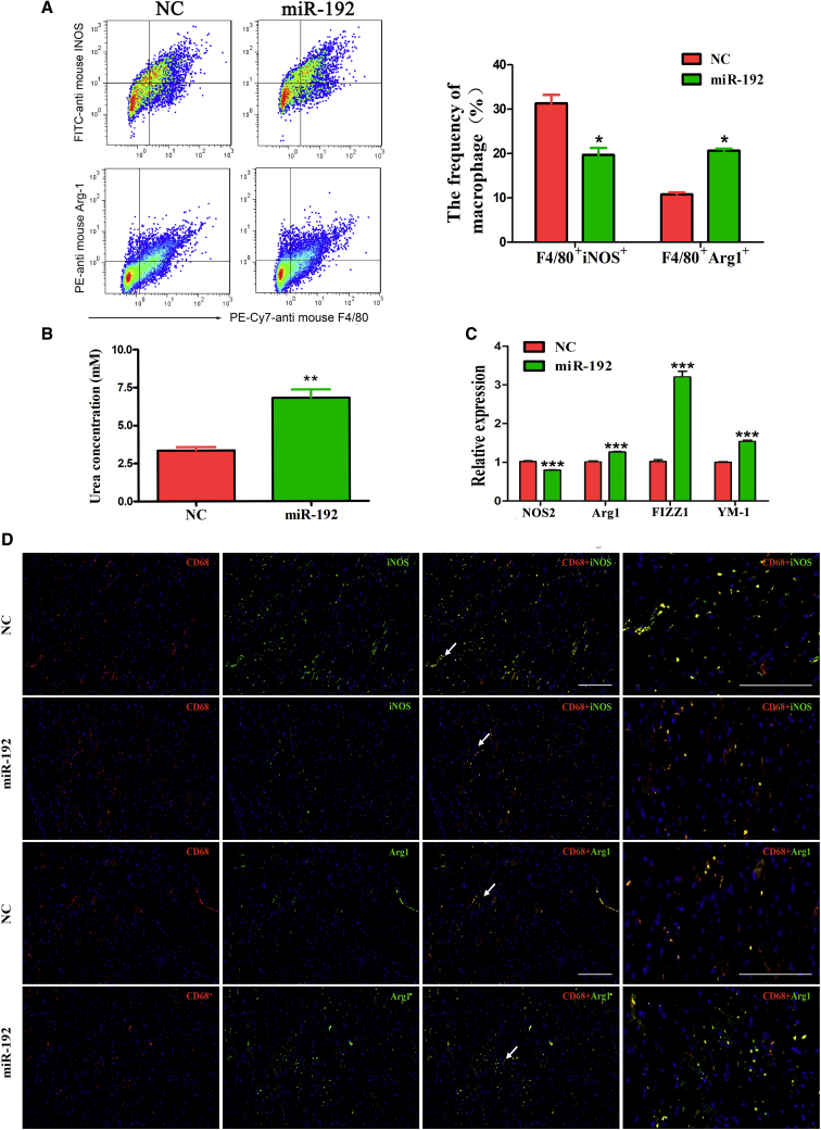 Figure 6