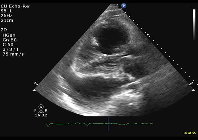 Figure 1