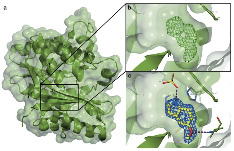 Fig. 9