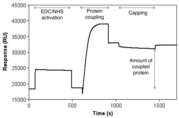 Fig. 12