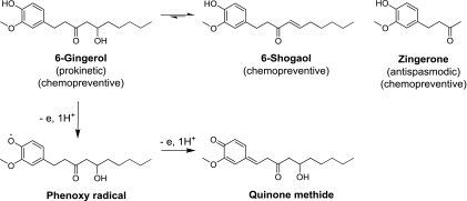 Fig. 15.