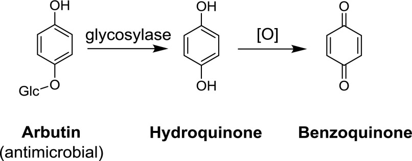 Fig. 19.