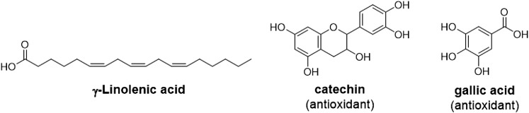 Fig. 17.