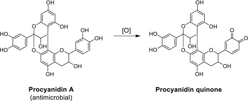 Fig. 18.