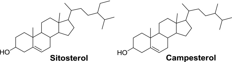 Fig. 31.