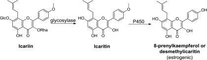 Fig. 30.