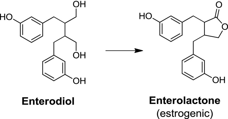 Fig. 29.