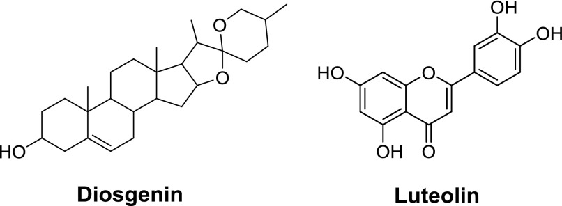 Fig. 20.