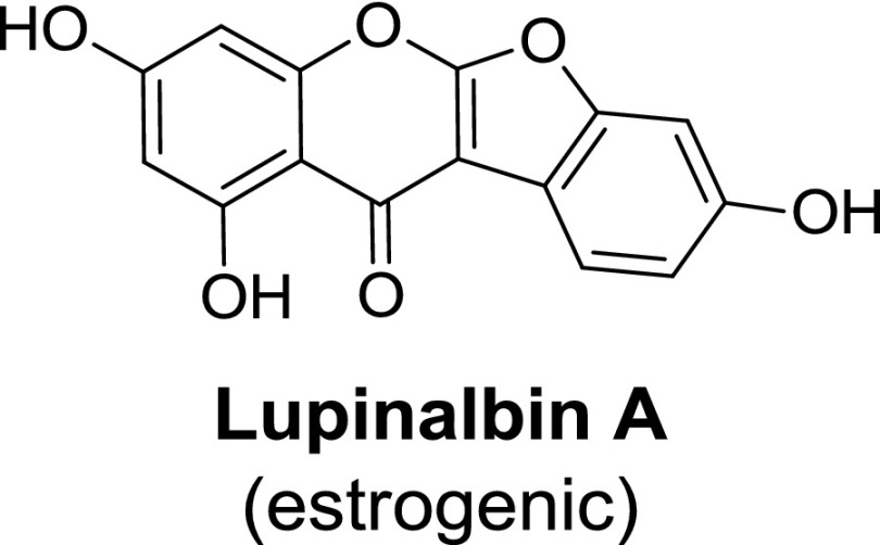 Fig. 25.