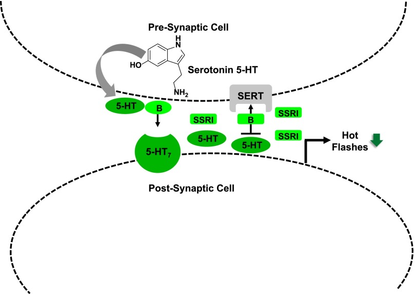 Fig. 22.