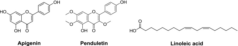 Fig. 13.